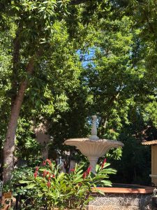 Patio garden